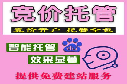 某行业领先企业如何借助百度竞价推广托管取得成功